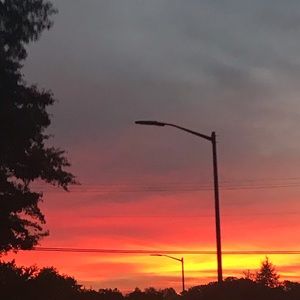 Meet your Posher, Lorena